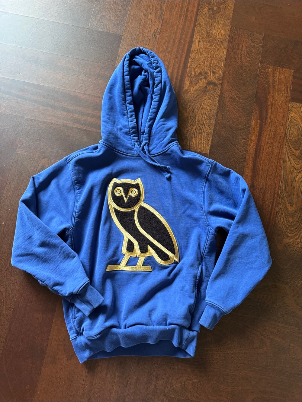 OVO Blue Owl Graphic Hoodie Sweatshirt